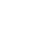 GM Logo